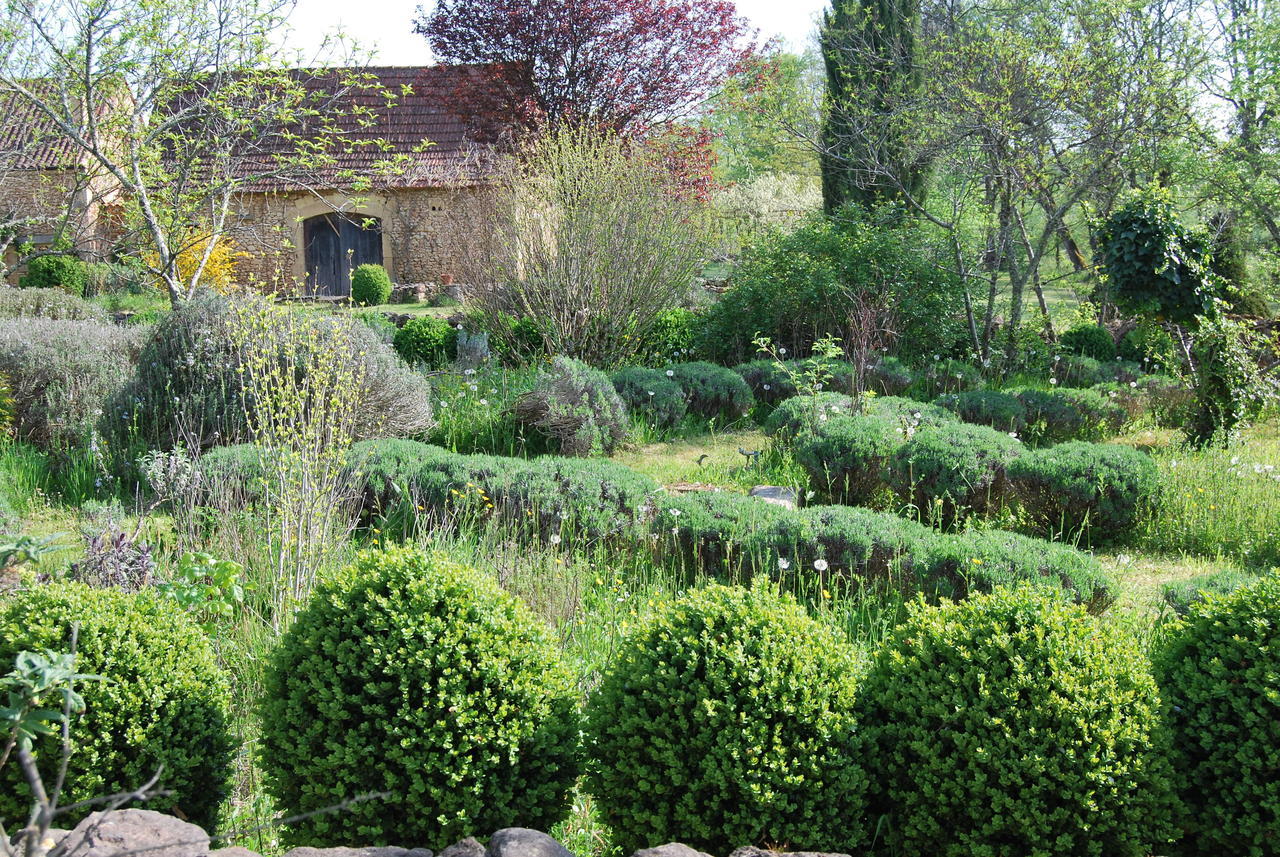 La Charmeraie Bed & Breakfast Saint-Cirq  Dış mekan fotoğraf