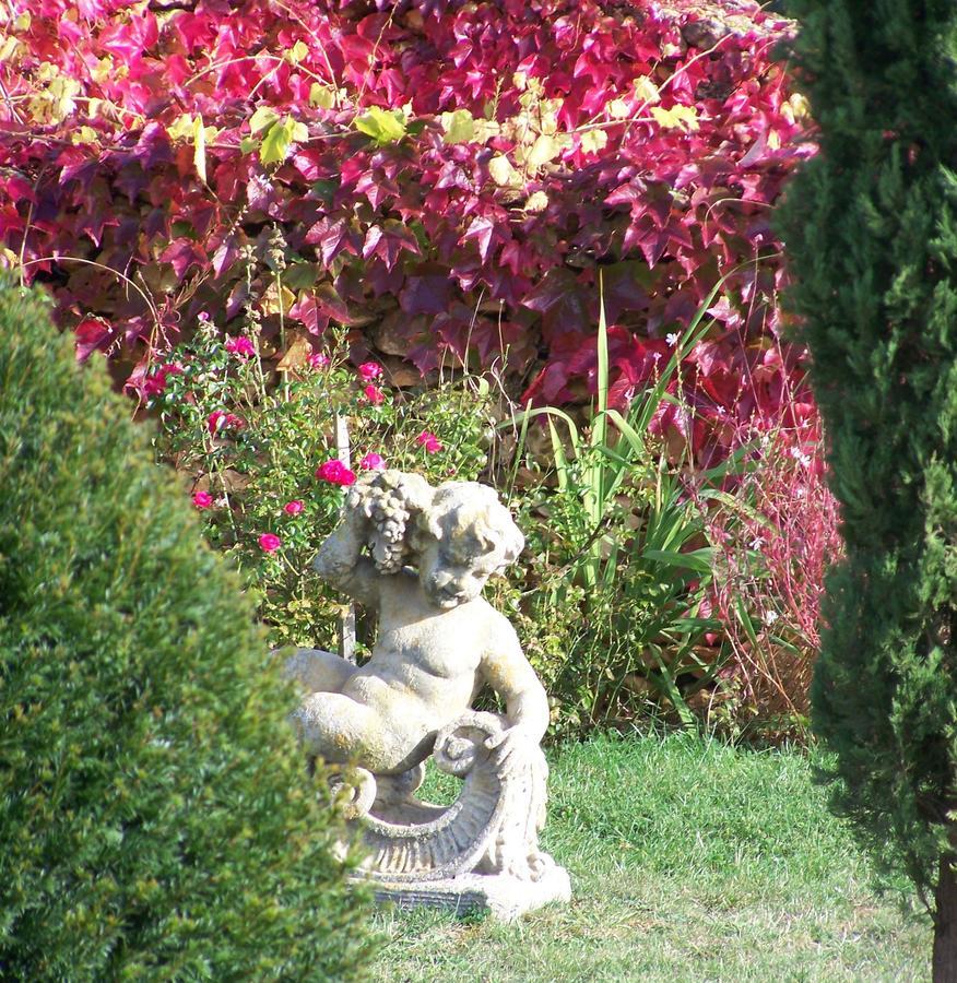 La Charmeraie Bed & Breakfast Saint-Cirq  Dış mekan fotoğraf
